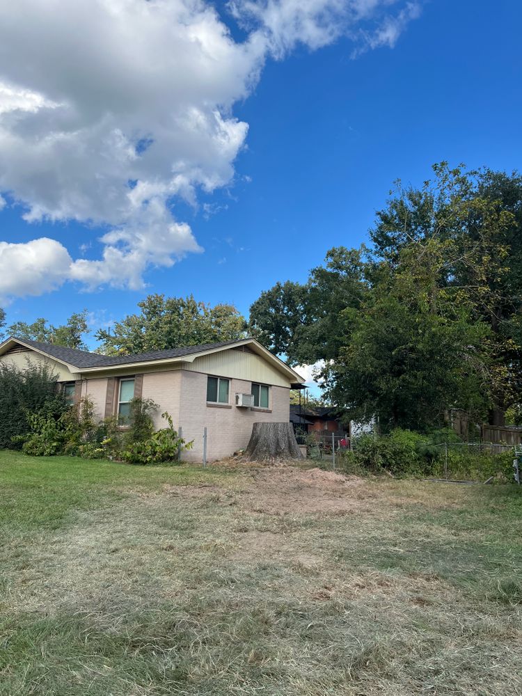 All Photos for JC Land and Tree Service in Kilgore, TX