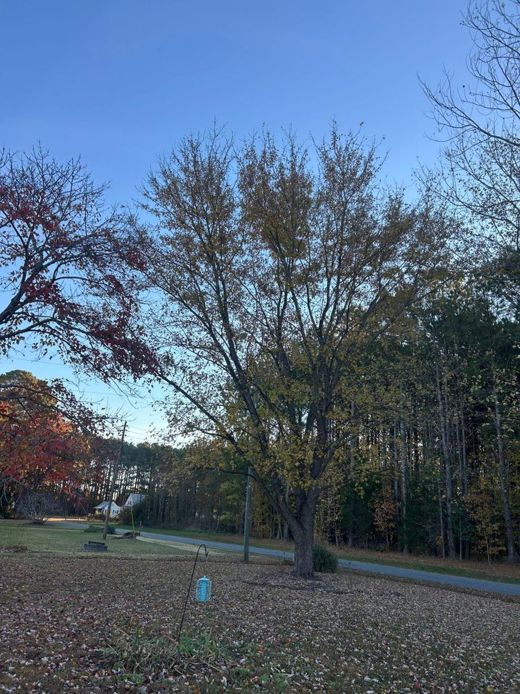 All Photos for The Whole 9 Yards Landscape VA in Heathsville, VA