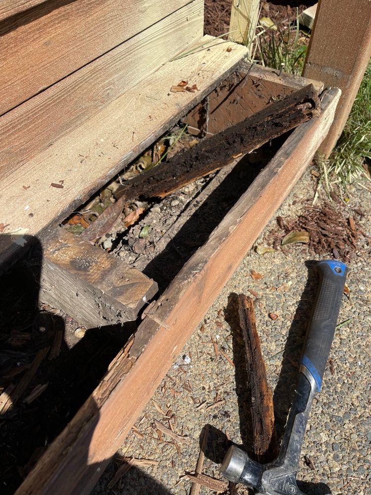 All Photos for Tony's Remodeling & Painting in Renton, WA