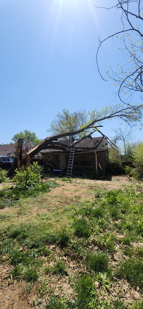 All Photos for Tree Fellers in Sumner County, TN