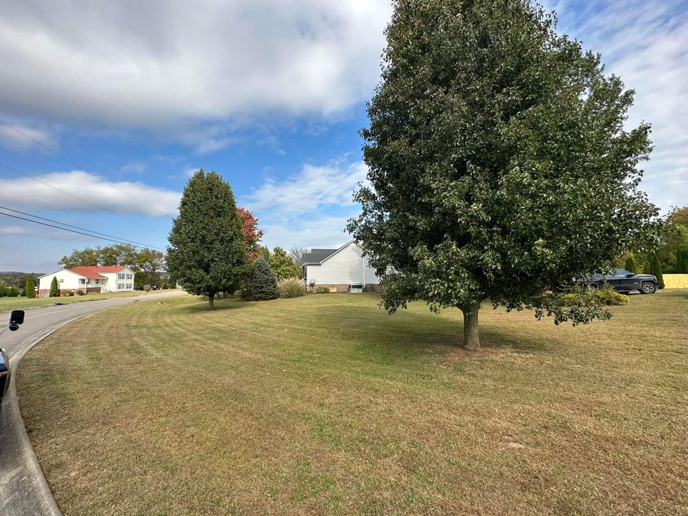 Lawn Care in Columbia, Tennessee Task Force Property Maintenance & Lawn Care Home