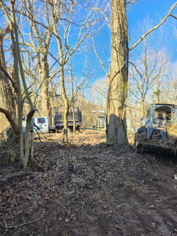 All Photos for Optimum Tree Service And Landscaping in Bowling Green, KY