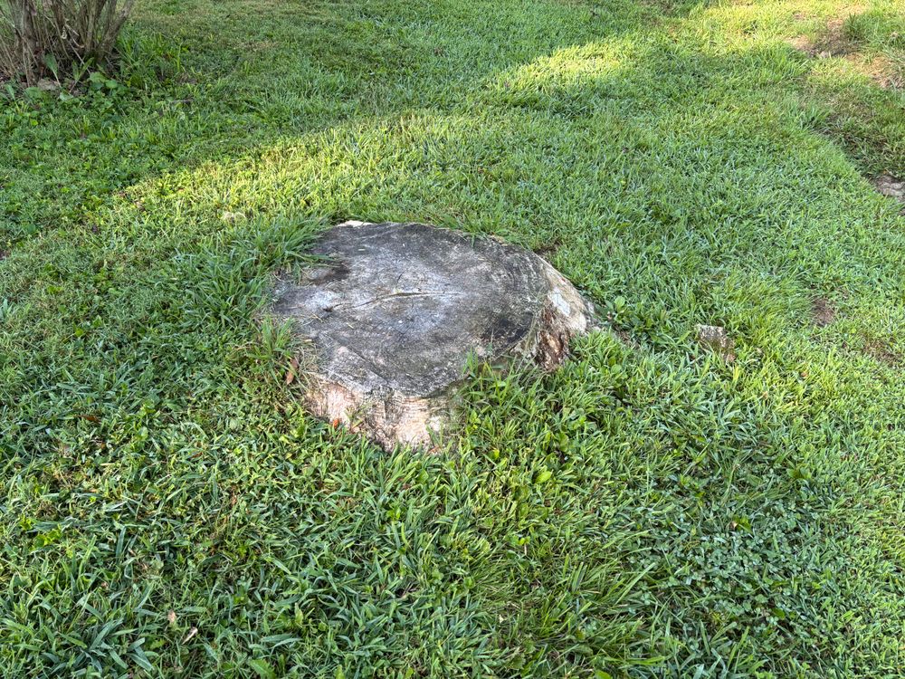 All Photos for Conrad's Stump Removal in Columbus, IN