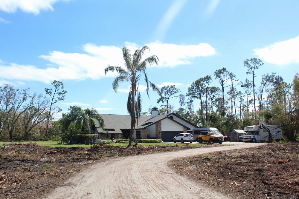 Tree Removal for American Tree Masters in Alvin, TX