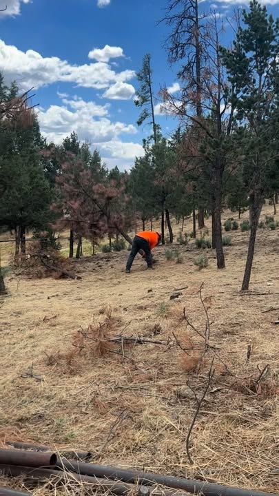 All Photos for G&B Yard Service in Ruidoso Downs, NM