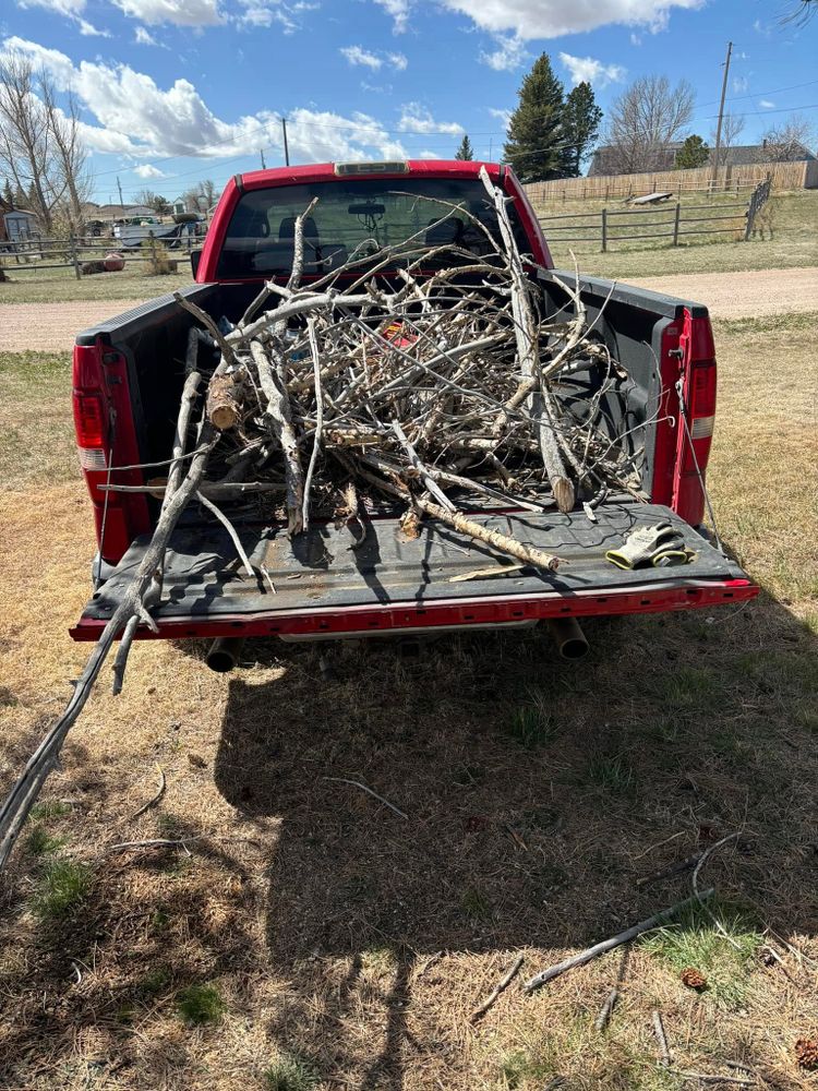 Tree Removal for Graham’s Tree Services in Pierce, CO