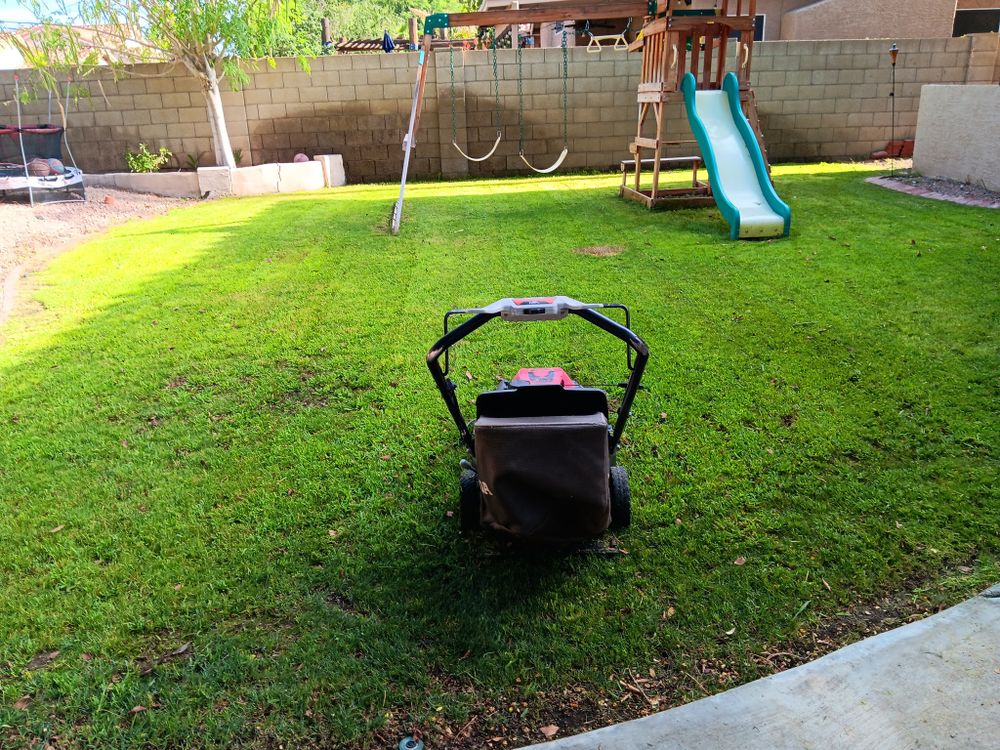 Family Landscaping team in Phoenix, AZ - people or person