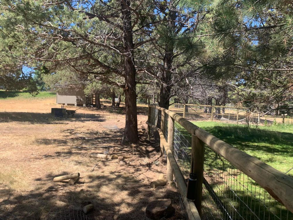 All Photos for All ‘Round Boys in Prineville, OR