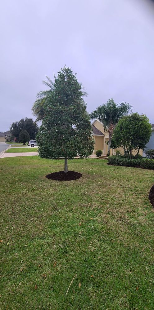 All Photos for TopNotch Landscaping Services  in The Villages, FL