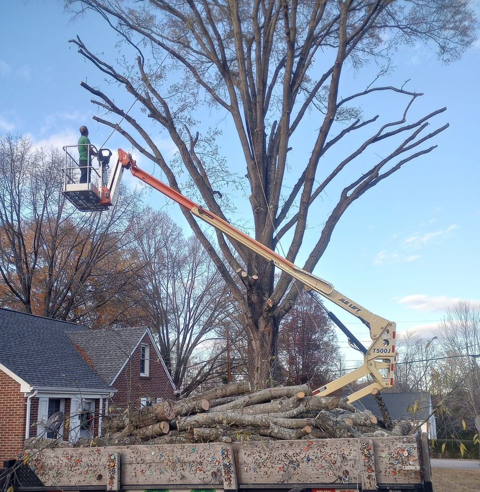 All Photos for The Webster Tree Service in Danville, VA