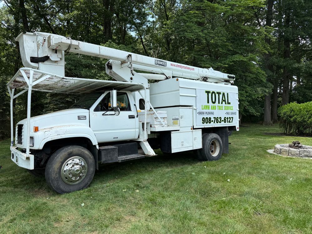 All Photos for Total Tree Service in Washington, NJ
