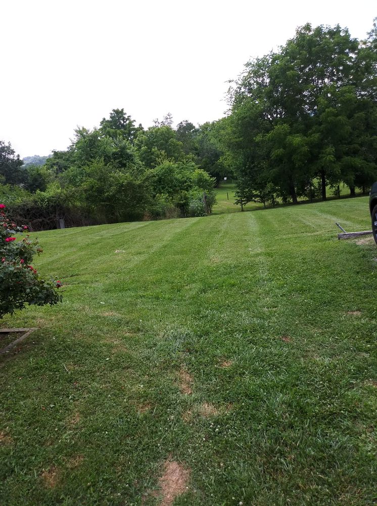 Lawn Care for Kingdom Lawn Care  in Shelbyville, TN