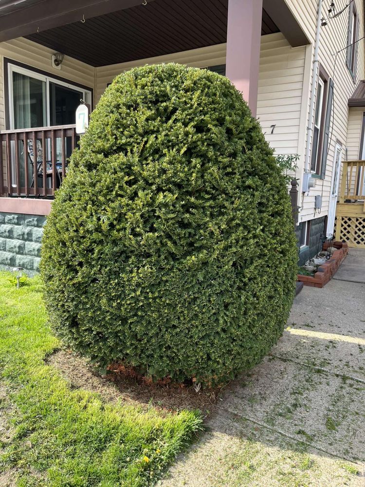 All Photos for Wilt Landscaping in Greenville, PA