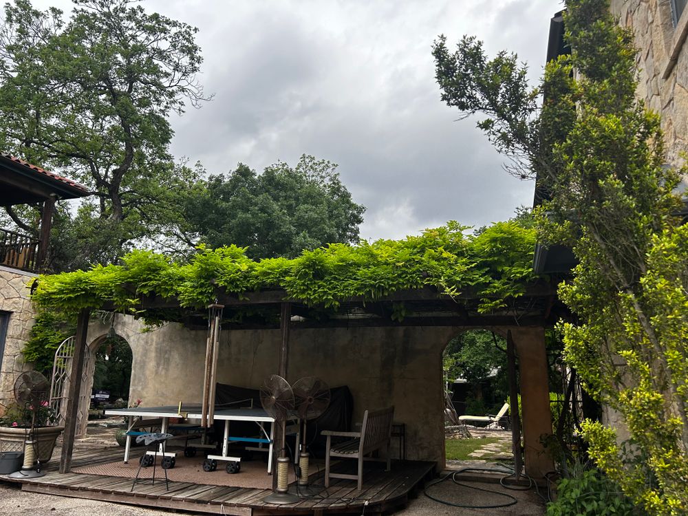 All Photos for Good and Green Landscaping in Canyon Lake, TX