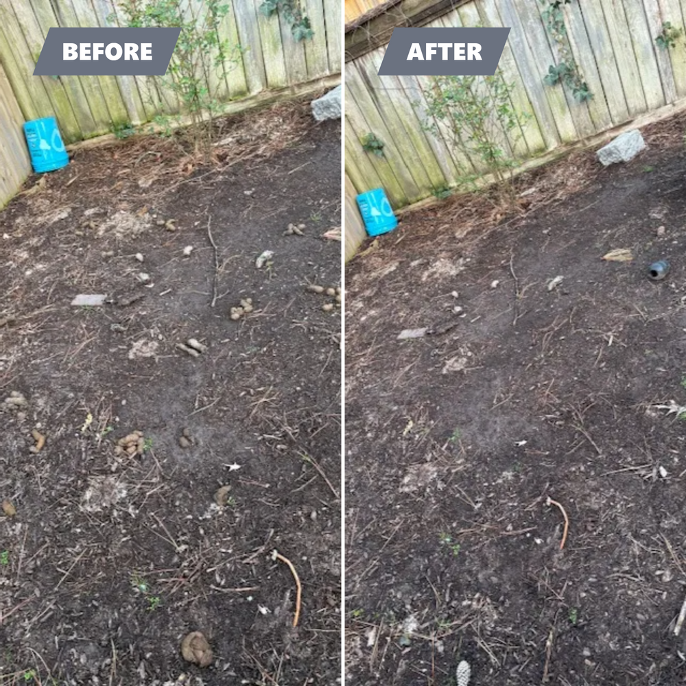 All Photos for River City Scoopers in Midlothian, VA