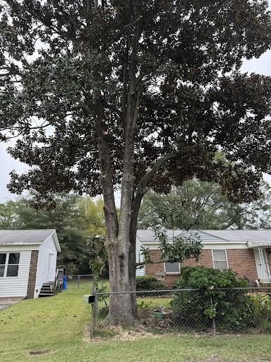 All Photos for Tucker's Tree Service and Stump Grinding in Lugoff, SC