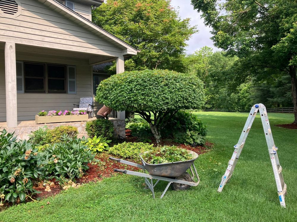 Excavating for Genesis Landworks in Bluff City, TN