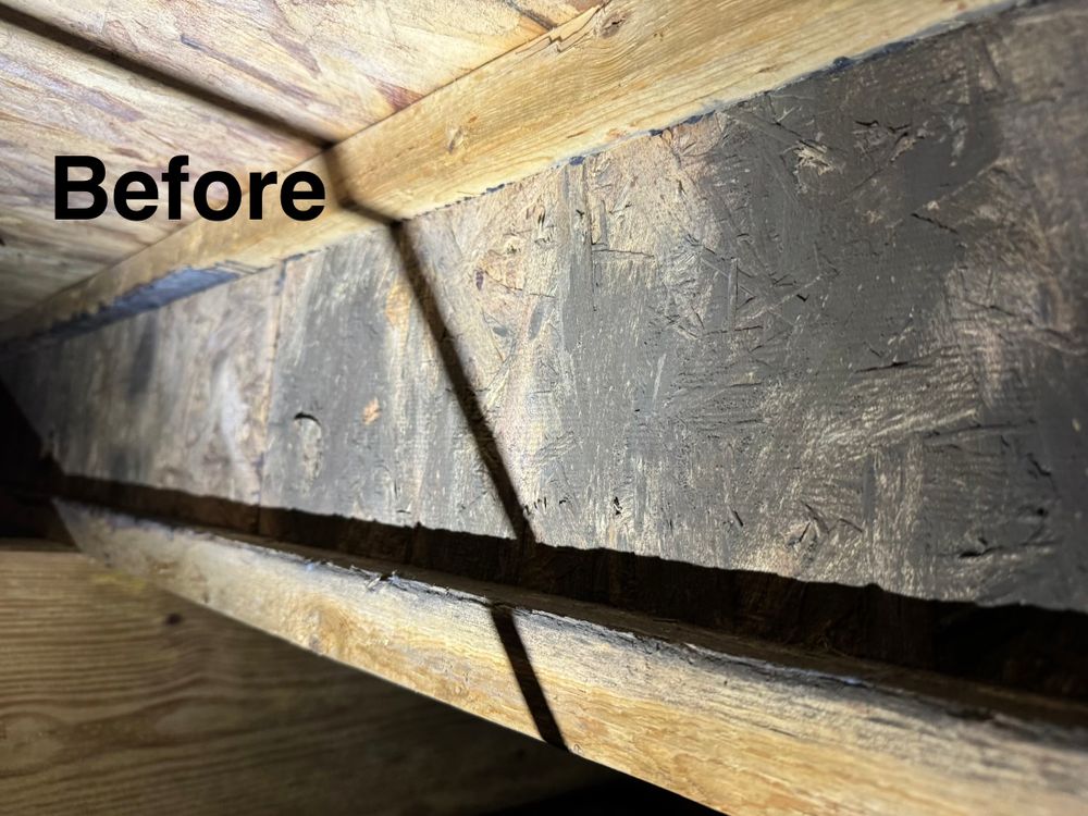 Crawlspace/Attic Renovation  for All-In Pest Control & Home Solutions in Greene County, IN