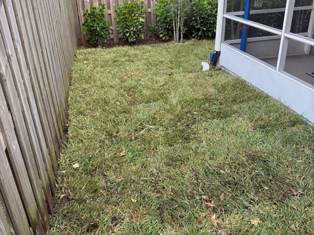 All Photos for Florida Pro Turf in Rockledge, FL