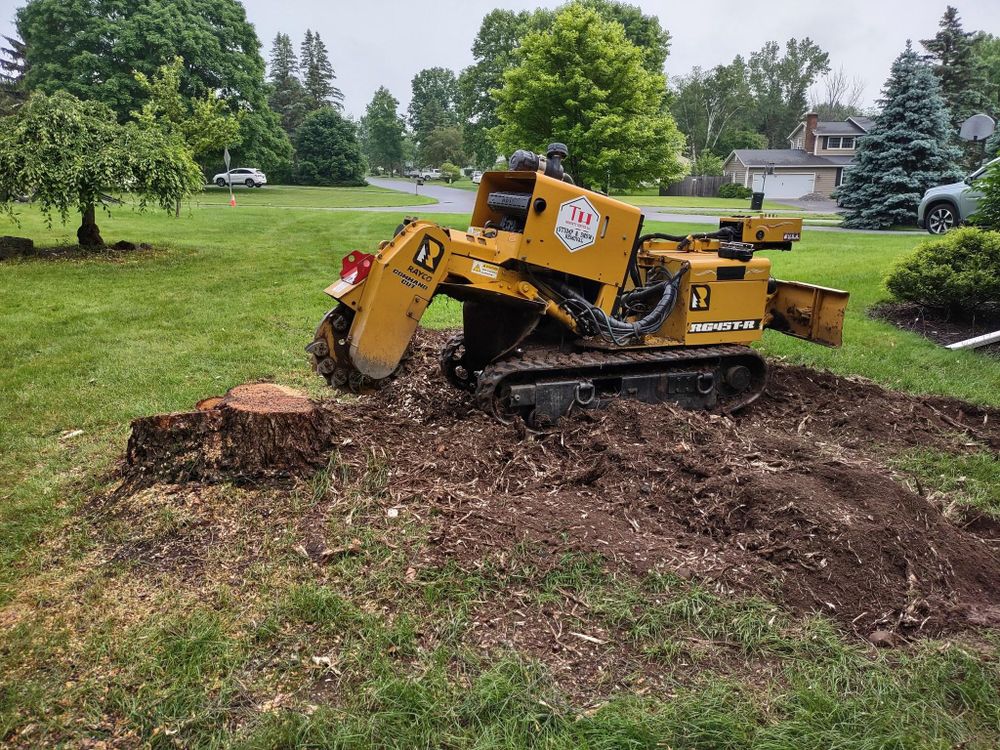 All Photos for TH Property Service, LLC in Manlius, NY