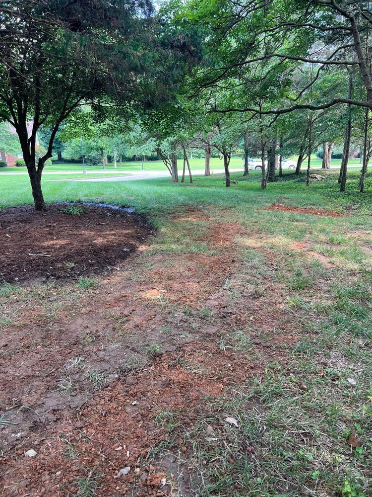 All Photos for Full Service Landscaping in Louisville, KY