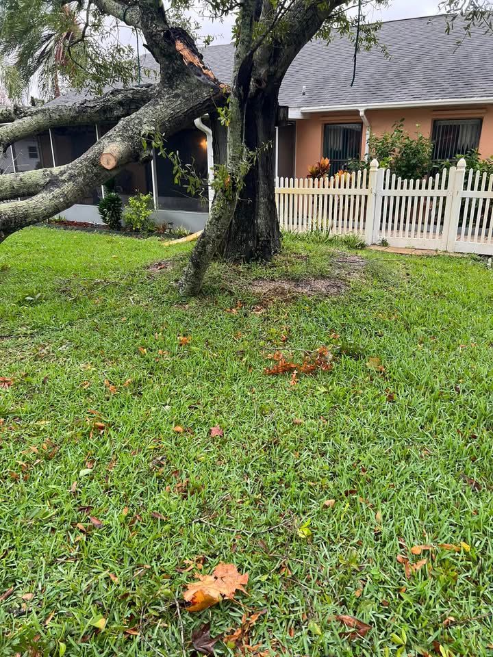 All Photos for Space Coast Property Maintenance and Management LLC in Melbourne, FL
