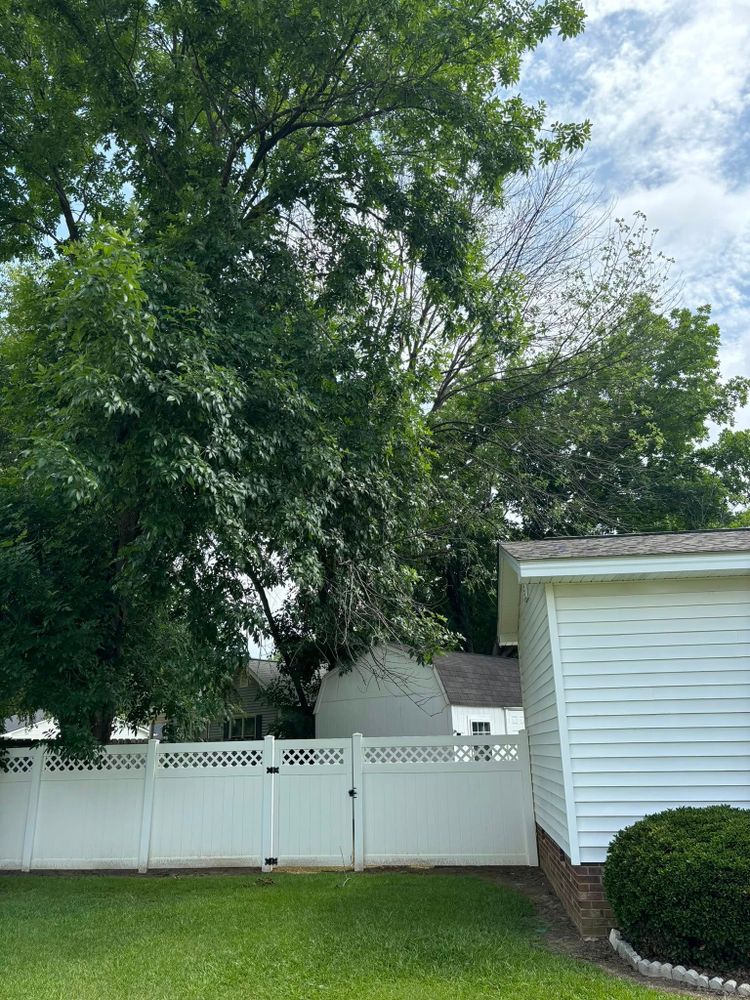 Tree Services for Total Tree Care in Erwin, North Carolina