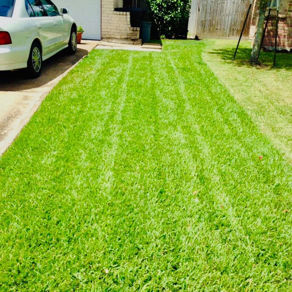 Lawn Care for Del Real Landscape Contractors LLC in Del Rio, TX