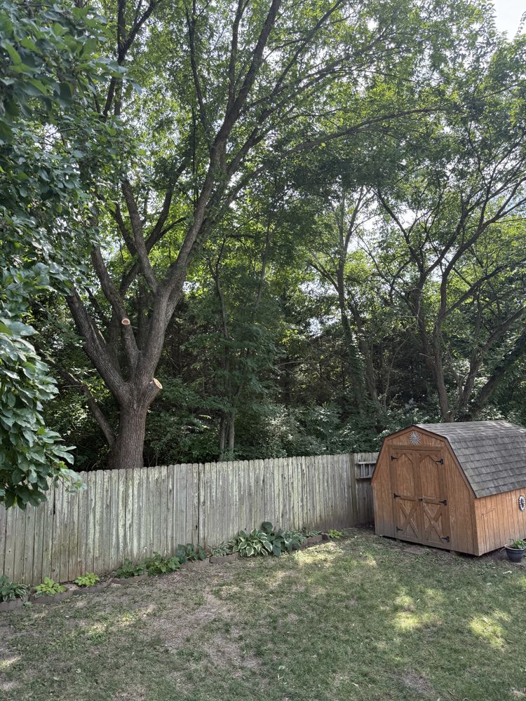 All Photos for Sky High Tree Service in Columbia, MO