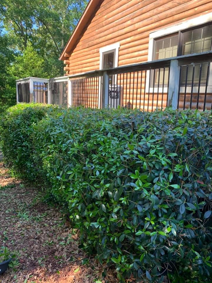 Landscaping for LC Lawn Care & Landscaping in Canon, GA