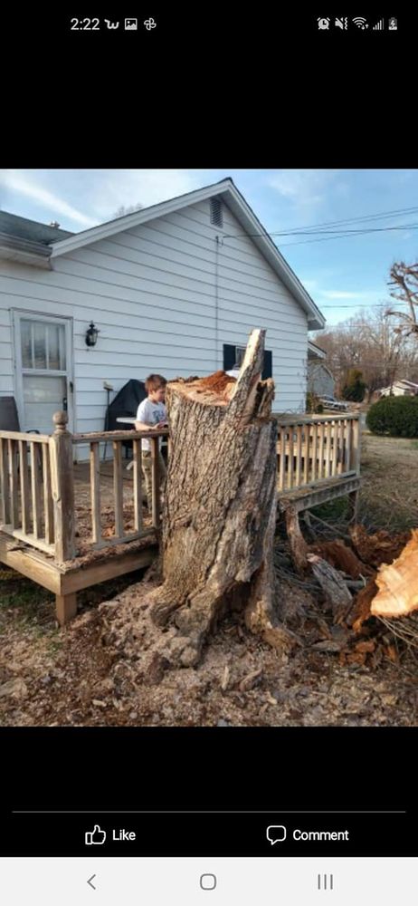 Tree Removal for Top Notch Lawn Care and Tree Removal in Mebane, NC