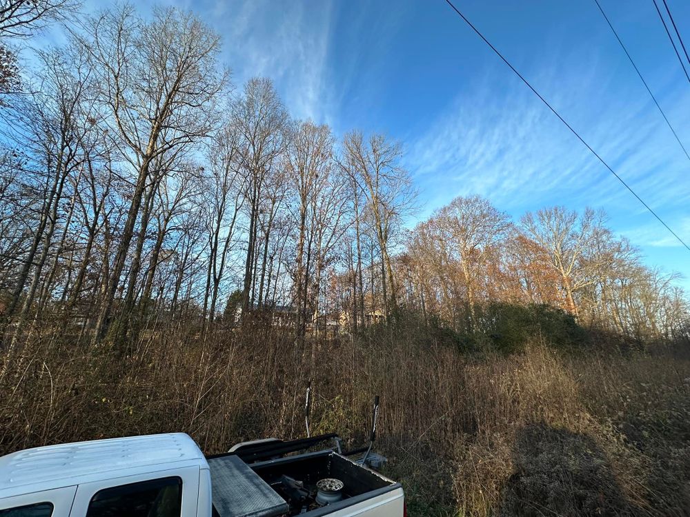 Land Clearing for TN DIRT PROS in Cleveland, TN