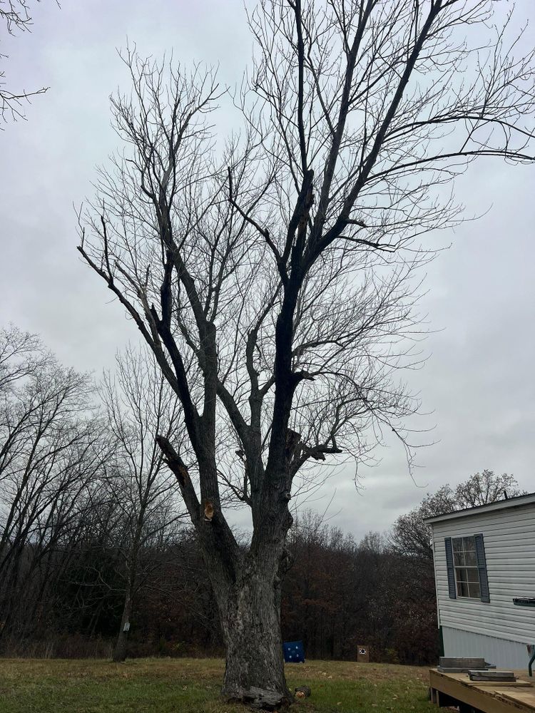 All Photos for Baker Professional Services LLC in Shelbina, MO