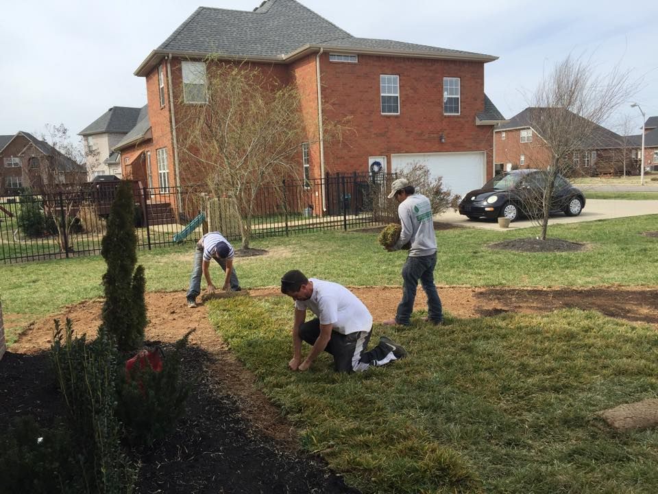 Transform your lawn quickly with our professional sodding service. We provide quality sod installation, ensuring a lush, green landscape that enhances curb appeal and requires minimal maintenance from the start. for MLC in Murfreesboro, TN