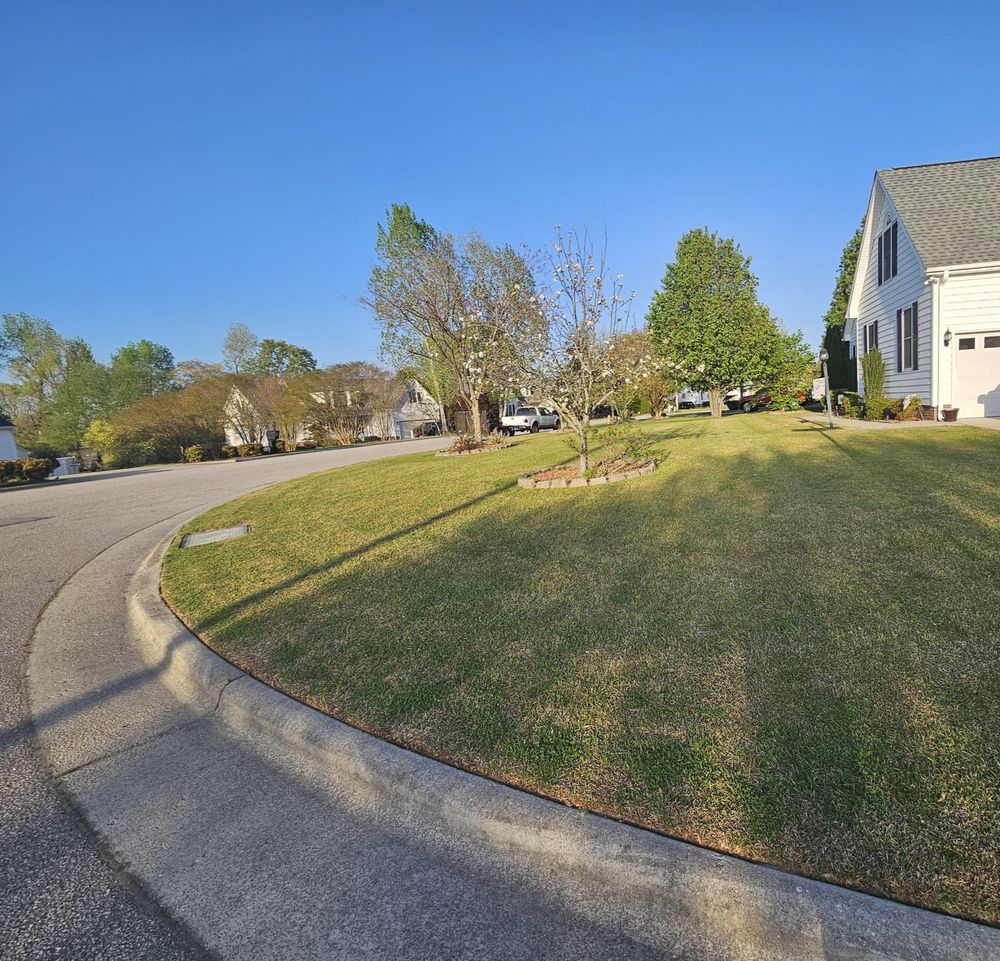 All Photos for Natures Accent in Wilson, NC