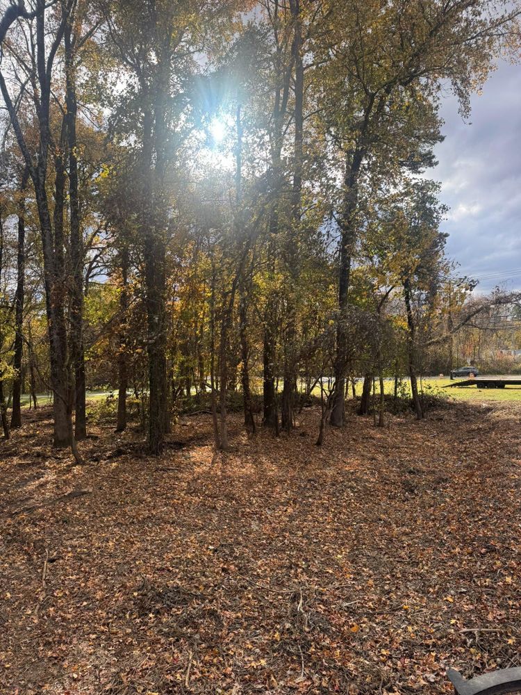 All Photos for Southern Turf & Landscape in Concord, NC