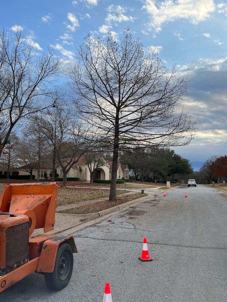 Enhance your home's curb appeal with our Fall Clean Up service, which includes leaf removal, branch trimming, and debris clearing to prepare your landscape for the colder months ahead. for Imber’s Tree Service LLC in Arlington, TX