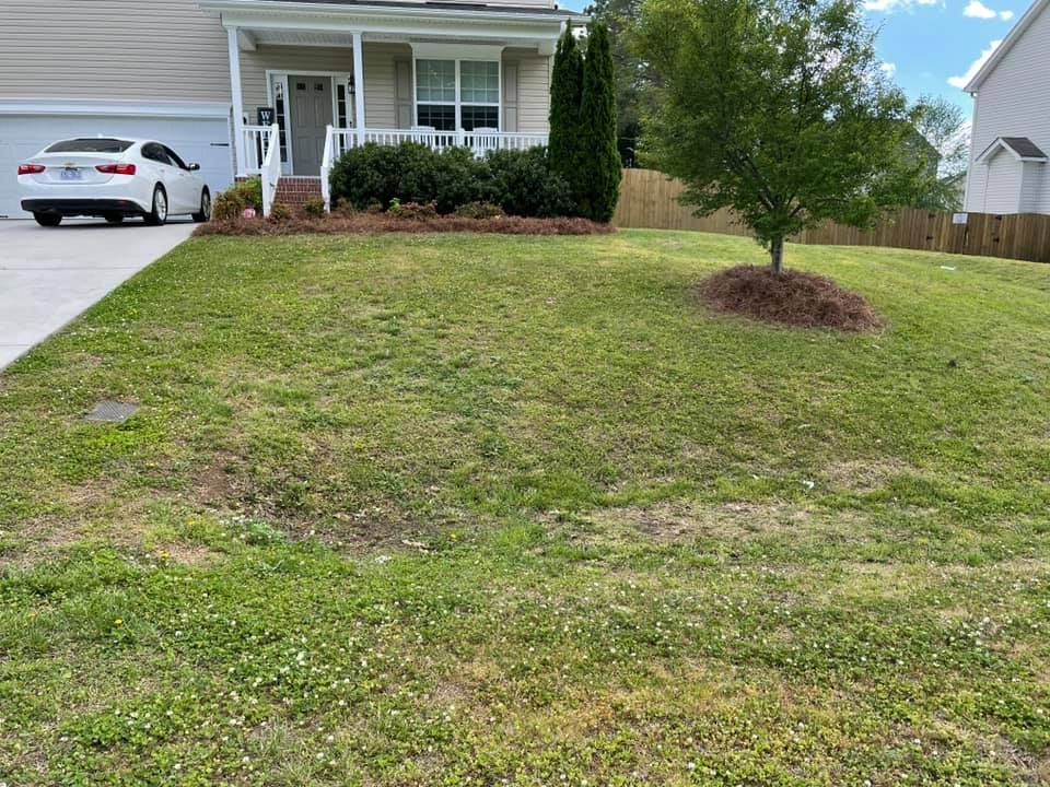 Pine Needle Installation  for Gallimore’s Lawn Care in Thomasville, NC