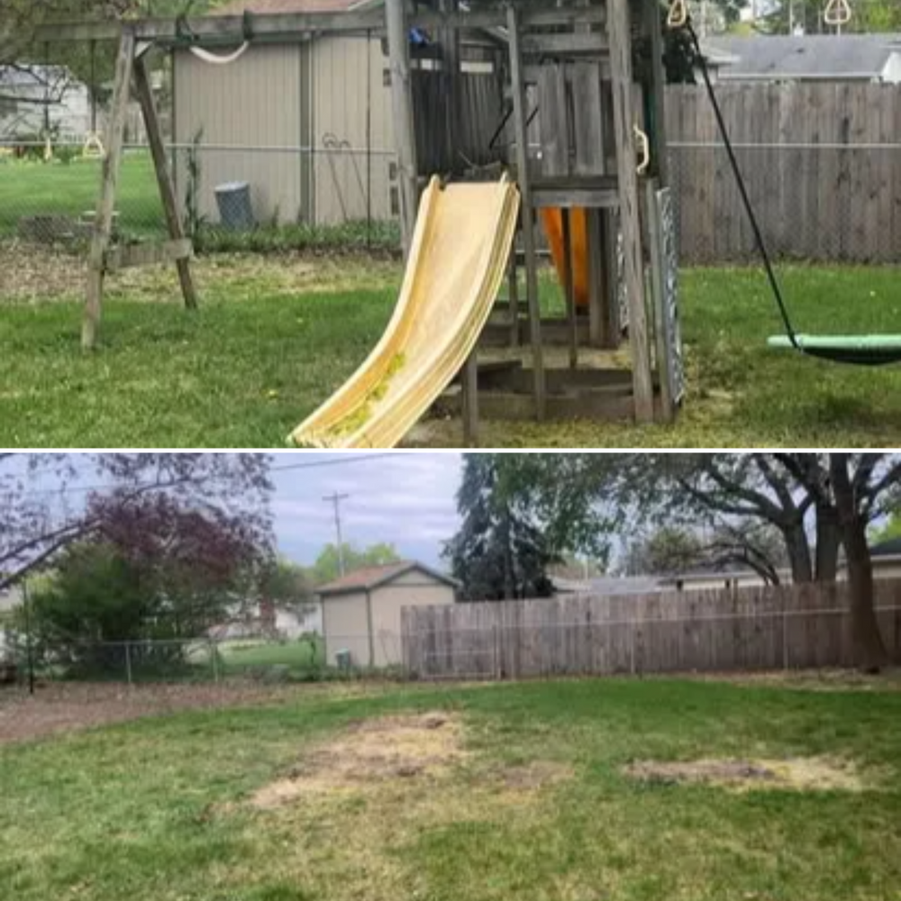 All Photos for Quick Removal Solutions in Lansing, MI