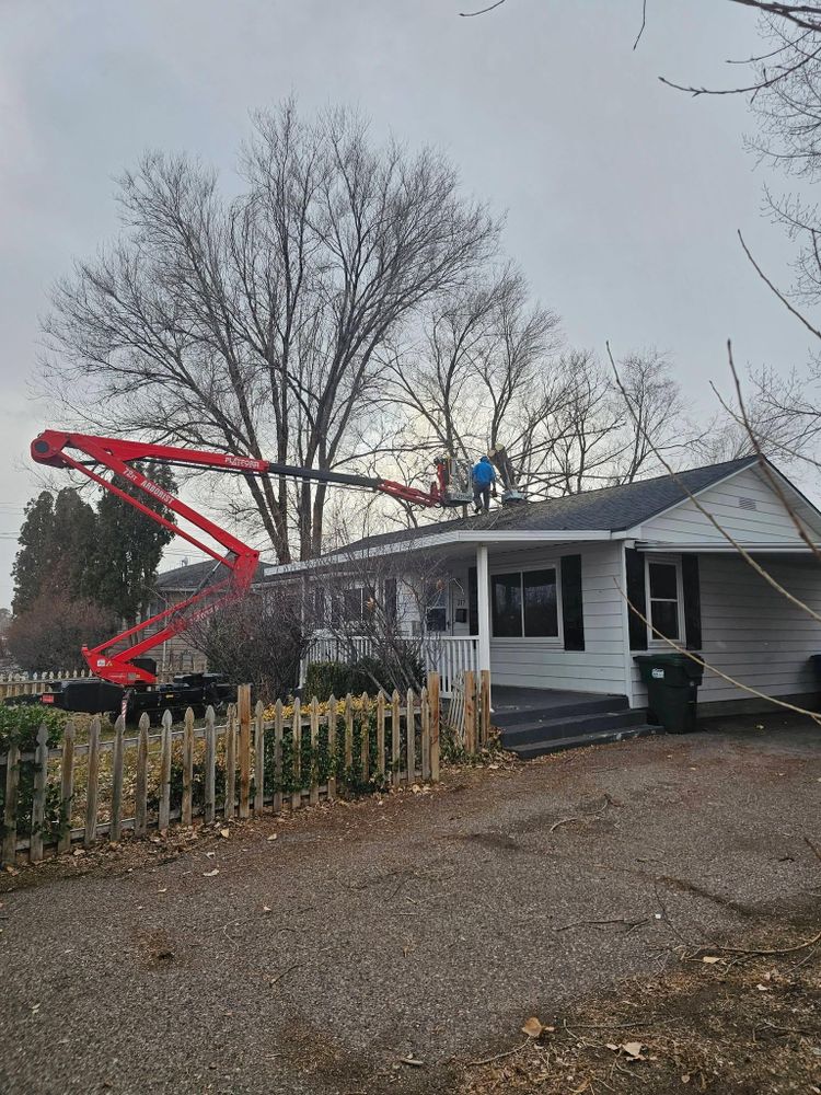 Tree Removal for Portneuf Valley Tree Service in Pocatello, ID