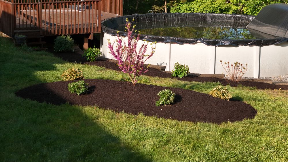 Landscape & Bed Design for Ace Landscaping in Trumbull, CT