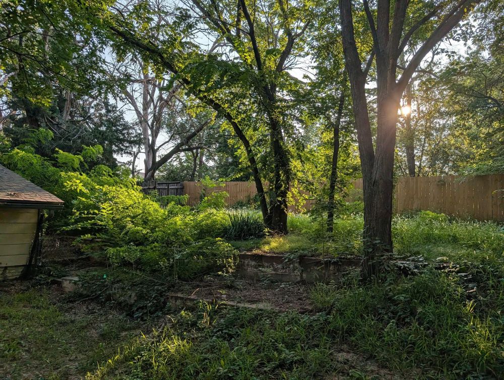 All Photos for Gavin's Lawn Maintenance in Derby, KS