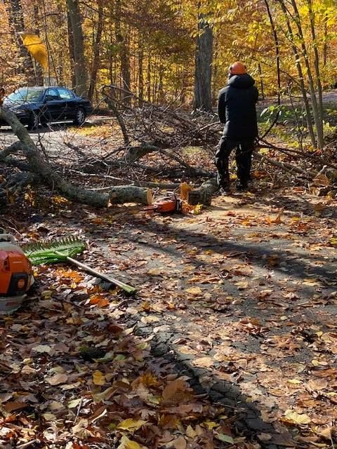 Landscaping for Sousa Landscape Design and Services in Madison, CT