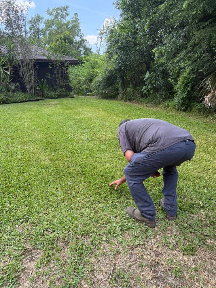 All Photos for Top Gun Lawn Care in Citrus County, FL