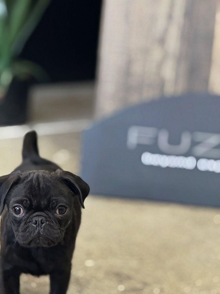 All Photos for Wall To Wall Flooring in Fort Worth, TX