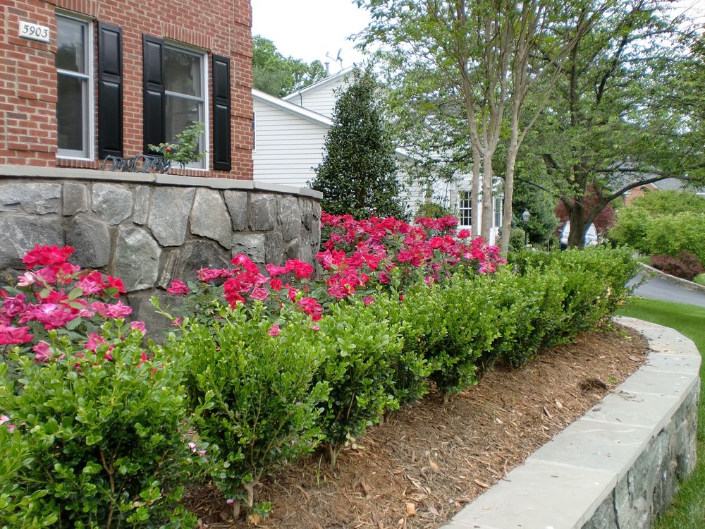 All Photos for Offering professional solutions for every aspect of your home. in Sterling, VA