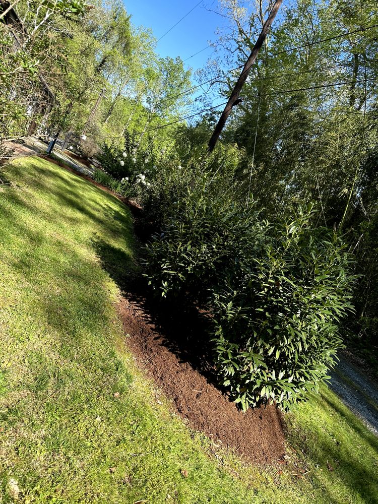 Residential/Commercial Lawn care for Hipp's Land Management LLC in Tryon, NC