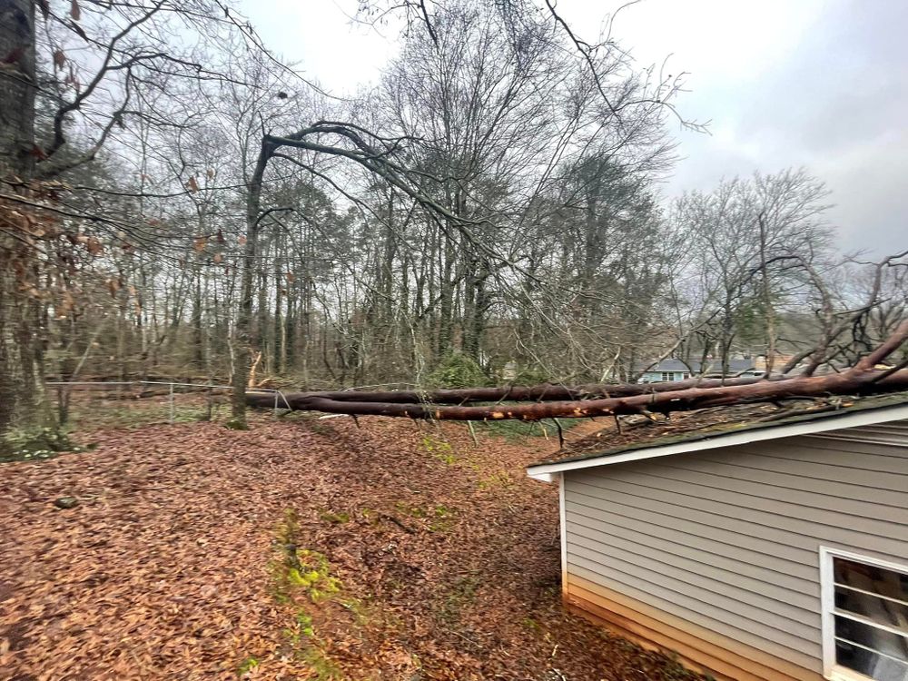 Tree Removal for Moore’s Tree Service in Chesnee, SC