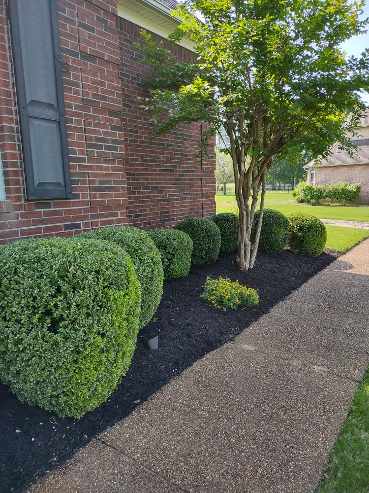 All Photos for Freedom Works Lawnscaping in Dyer County, Tennessee
