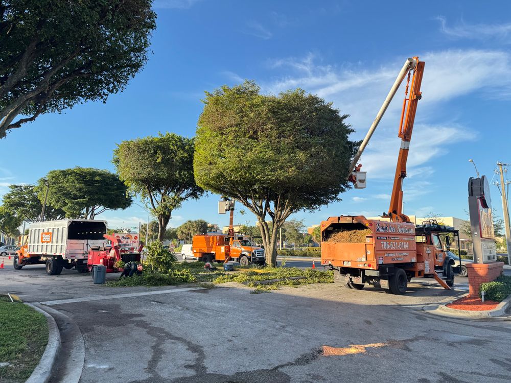 All Photos for Sam's Tree Service in Miami Beach,  FL